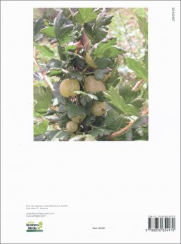 Piccoli Frutti e Altri Superfrutti — Libro - 2