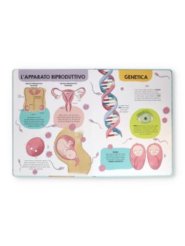 Piccoli Grandi Esploratori - Il Corpo Umano — Libro - 2