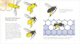 Piccolissimo, Anzi Invisibile — Libro - 3