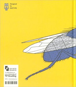 Piccolissimo, Anzi Invisibile — Libro - 2