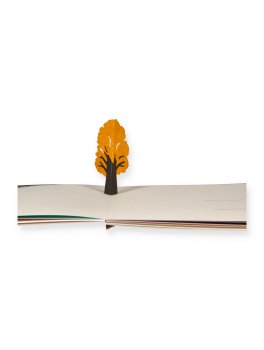 Piccolo Albero — Libro - 5