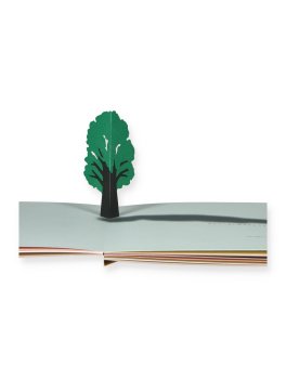 Piccolo Albero — Libro - 2