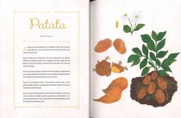 Piccolo Erbario — Libro - 3