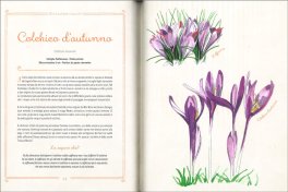Piccolo Erbario Fiorito — Libro - 3