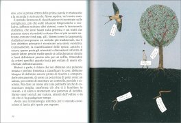 Piccolo Libro Illustrato dell'Universo — Libro - 3
