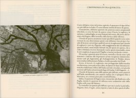 Piccolo Manuale di Alberi, Boschi, Forestali e Comitati — Libro - 3