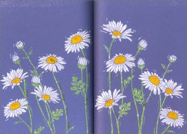 Piccolo Manuale Illustrato per Cercatori di Fiori — Libro - 3