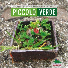 Piccolo Verde — Libro - 1