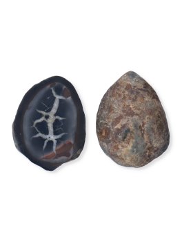 Pietra Geode Septaria - 2