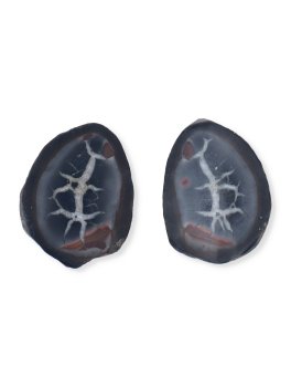 Pietra Geode Septaria - 1