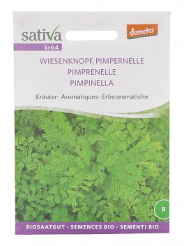 Semi di Pimpinella - 1