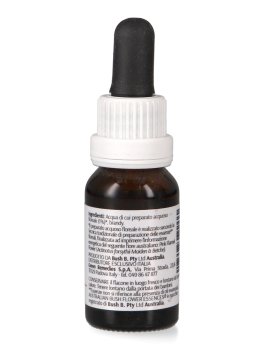 Pink Flannel Flower - Essenza Floreale Australiana Singola - 2