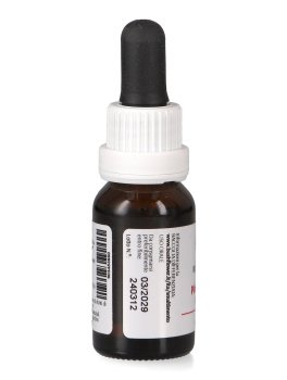 Pink Flannel Flower - Essenza Floreale Australiana Singola - 3