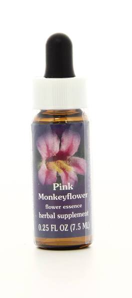 Pink Monkeyflower - Fiori californiani - 1