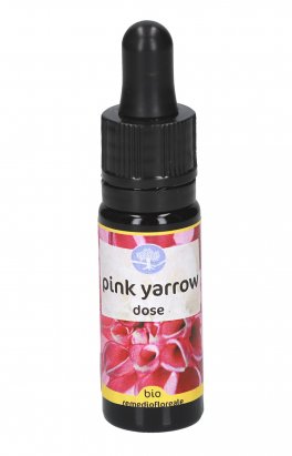 Pink Yarrow - Fiori californiani - 1
