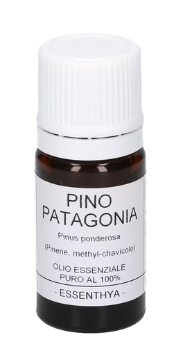 Pino della Patagonia - Olio Essenziale Puro - 5 ml - 1