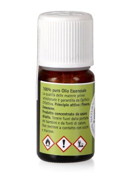 Pino Mugo - Olio Essenziale - 2