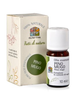 Pino Mugo - Olio Essenziale - 3