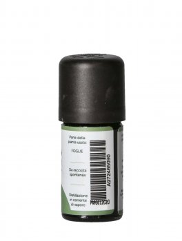 Pino Mugo - Olio Essenziale - 2