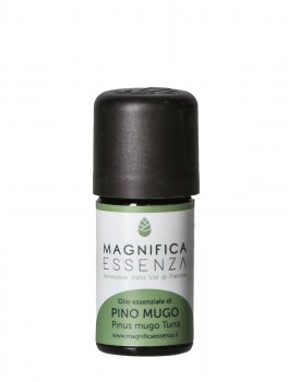 Pino Mugo - Olio Essenziale - 1