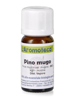 Pino Mugo Olio Essenziale - 3