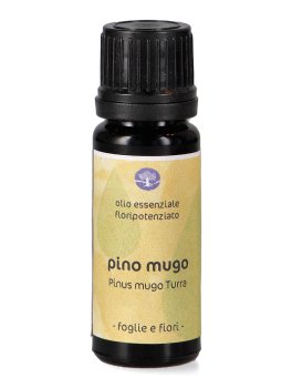 Pino Mugo - Olio Essenziale Floripotenziato - 1