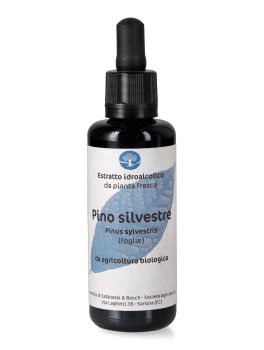 Pino Silvestre  - Estratto Idroalcolico - 1
