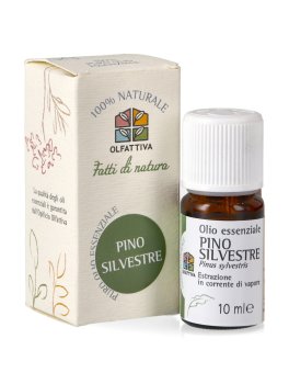 Pino Silvestre - Olio Essenziale - 3