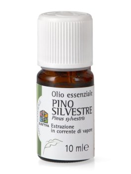 Pino Silvestre - Olio Essenziale - 1