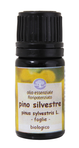 Pino Silvestre - Olio Essenziale Floripotenziato