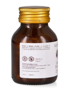 Pinomar Pycnogenol® - 4