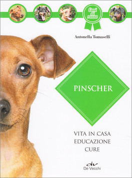 Pinscher - Vita in Casa, Educazione, Cure — Libro - 1