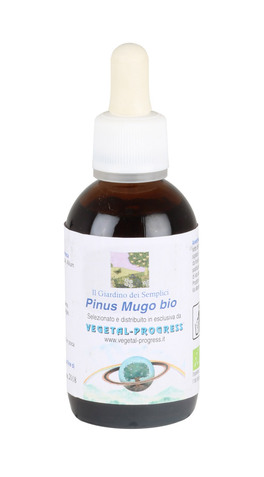 Pinus Mugo - Pino Mugo Bio - Estratto Idrogliceroalcolico - 1