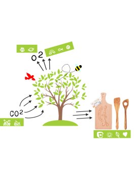 Pinze per Griglia in legno di Ciliegio - 3