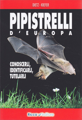 Pipistrelli d'Europa — Libro - 1