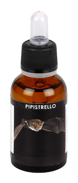 Pipistrello - Acqua Vibrazionale