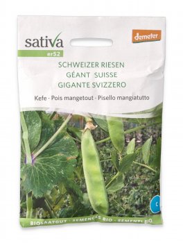 Semi di Pisello Mangiatutto Bio - Gigante Svizzero - 1