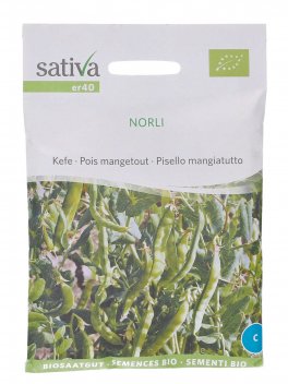 Semi di Pisello Mangiatutto (Norli) - 1
