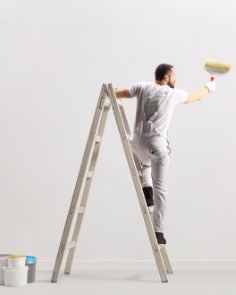 Pittura Murale Bianco Opaco  n.321 - 2