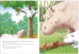 Piuma, Dove Vai? — Libro - 3