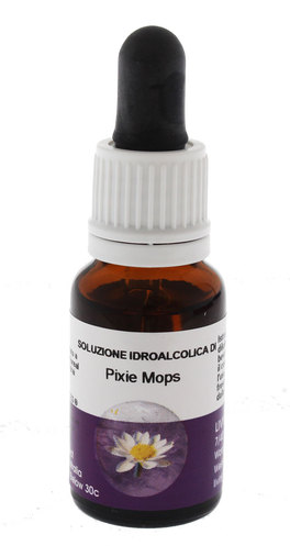 Pixie Mops - Fiori australiani - 1