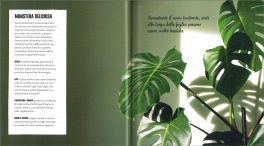 Plant Lady — Libro - 3