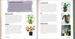 Plant Lady — Libro - 4