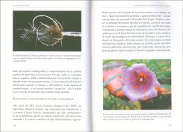Plant Revolution — Libro - 4