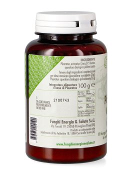Pleurotus Polvere Bio - 3