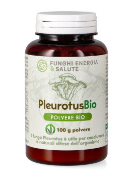 Pleurotus Polvere Bio - 1