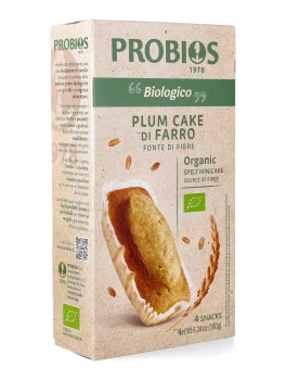 Plum Cake di Farro - 1