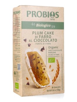 Plum Cake di Farro con Gocce di Cioccolato Bio - 1