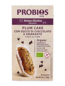 Plumcake con Amaranto e Gocce di Cioccolato Biologico - 2