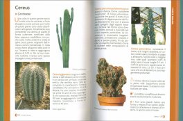Pollice Verde — Libro - 3